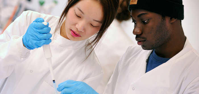 two students performing experience in biomedical sciences lab