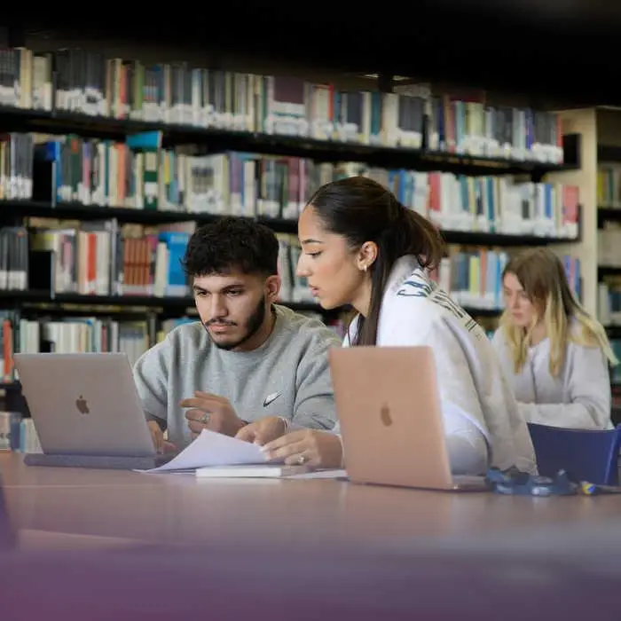 Geography students studying in library