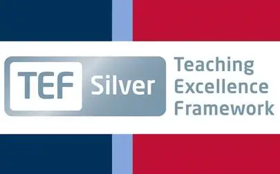 image of Silver award for teaching and learning excellence at Brunel