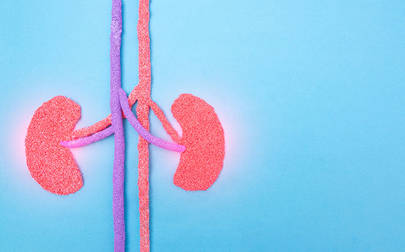 image of Exercise key to giving life back to kidney patients