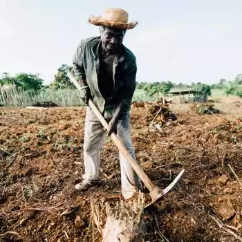 man farming a field