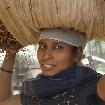Indian woman farming