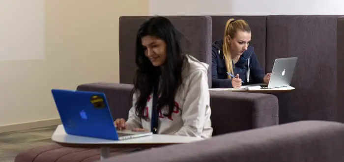 Two female students working on laptops in individual study booths